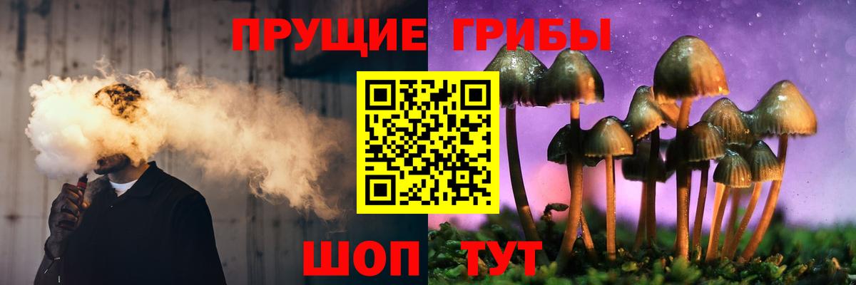Артёмовский  как найти закладки  Галлюциногенные грибы Magic Shrooms  Вход с VPN  Псилоцибиновые грибы Cubensis 